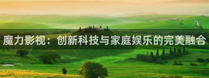 yy4480国产