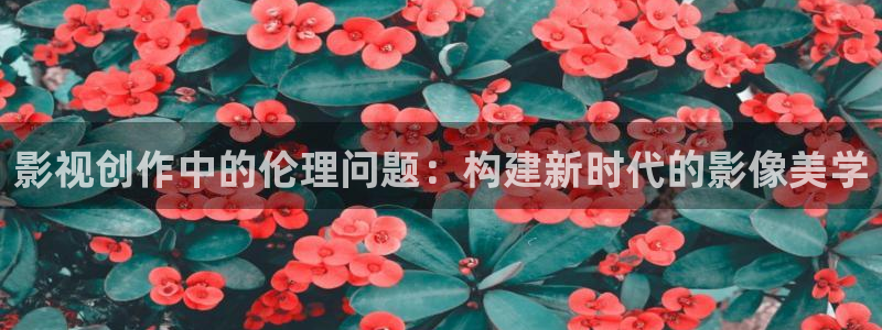 yy4480影视电视剧免费播放