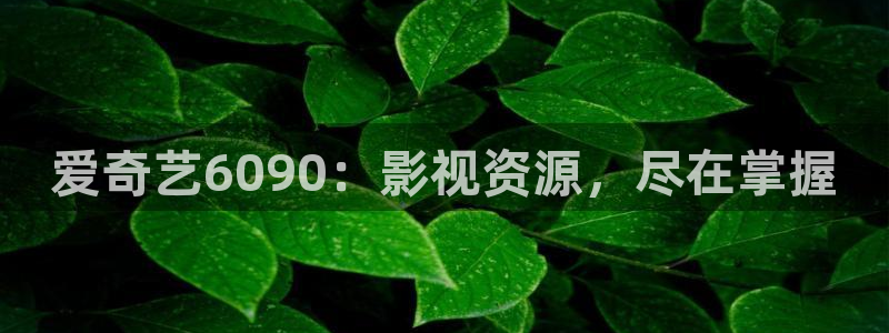 yy4480免费