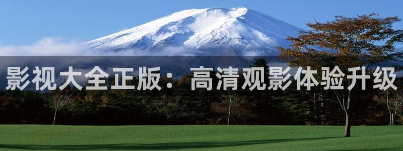 yy4480国产