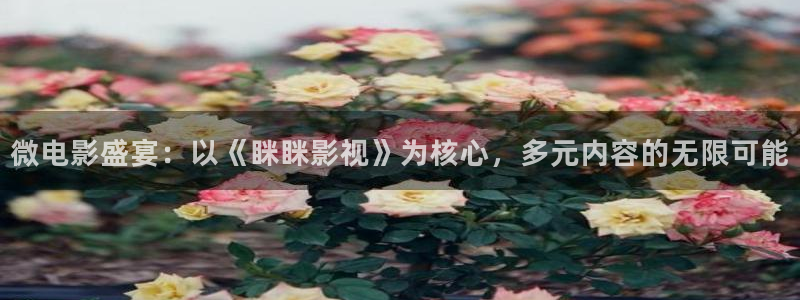 yy4480影视电视剧