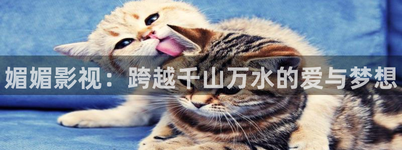 yy4480午夜电影