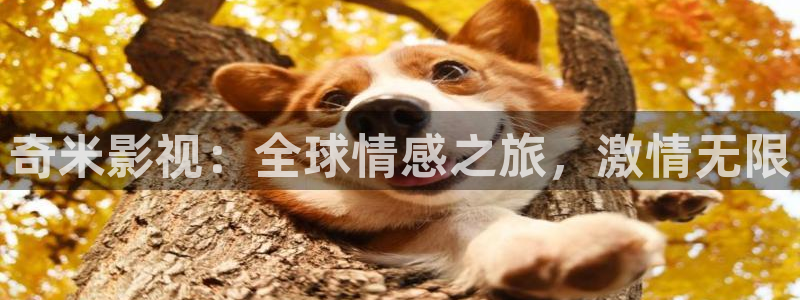 yy4480万利达青苹果私人影院：奇米影视：全球情感之旅，激情无限