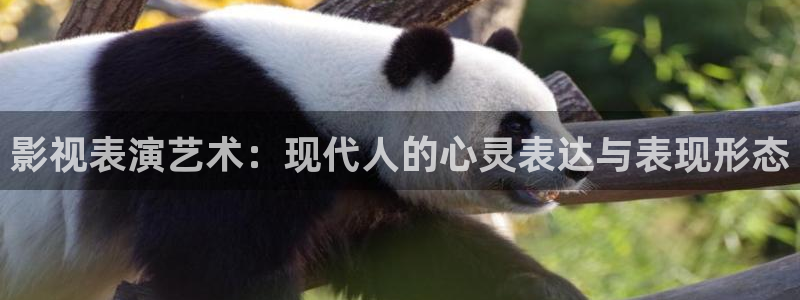 左手影院yy4480