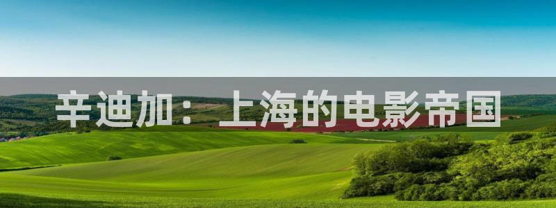 yy4480轮理：辛迪加：上海的电影帝国