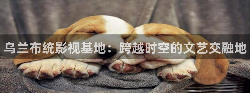 yy4480首播影院a4yy